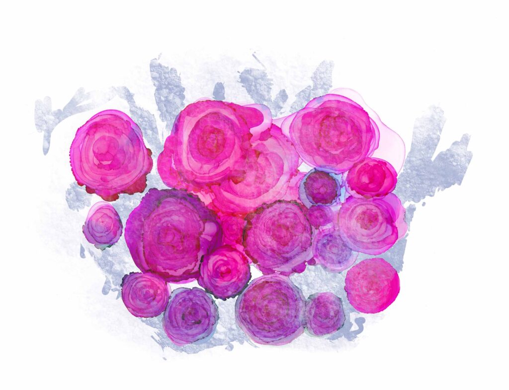 Alkohol Ink Malerei von Rosenblüten und blurry Filter, pink fuchsia