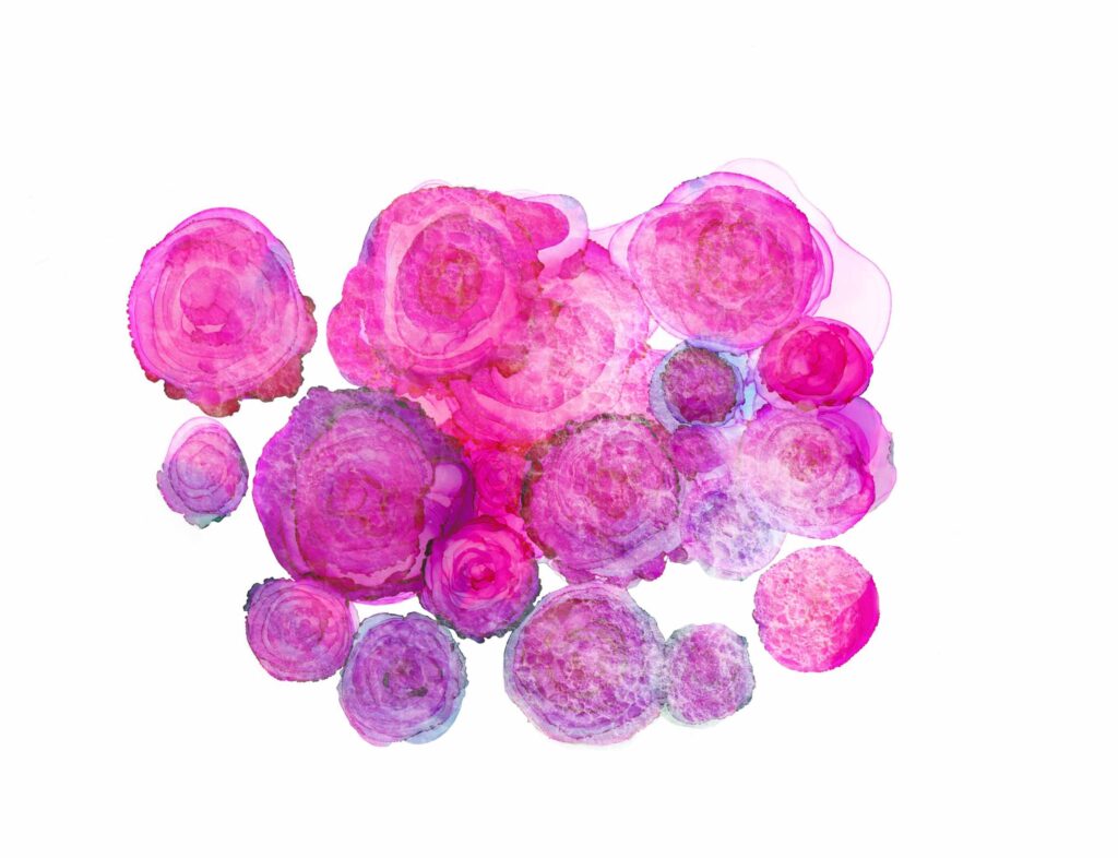 Alkohol Ink Malerei von Rosenblüten und blurry Filter, pink fuchsia