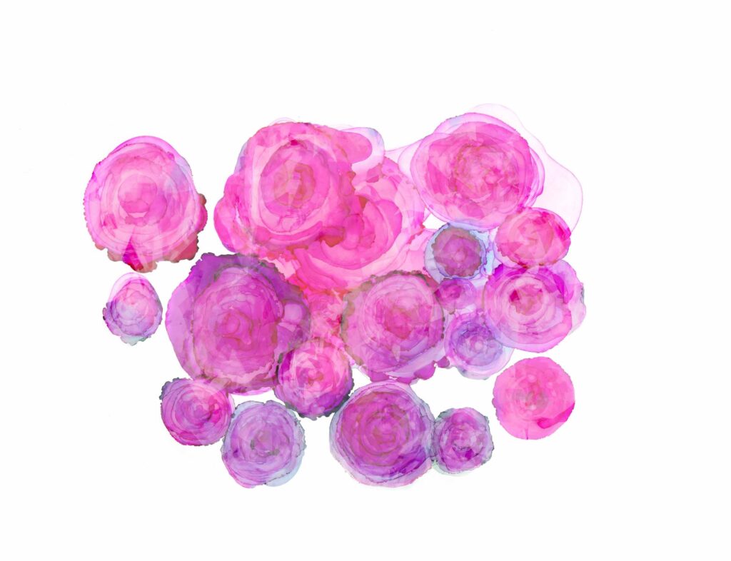 Alkohol Ink Malerei von Rosenblüten mit verschwommen Filter pink fuchsia