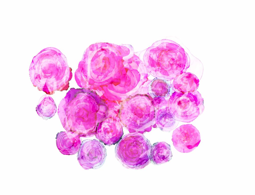 Alkohol Ink Malerei von Rosenblüten und blurry Filter pink fuchsia