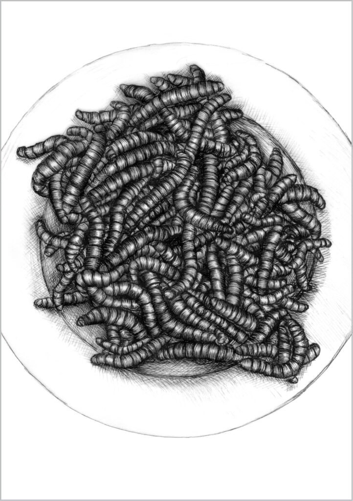 Zeichnung von Würmern auf Teller