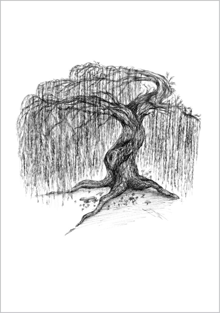 Zeichnung von Baum, Weide