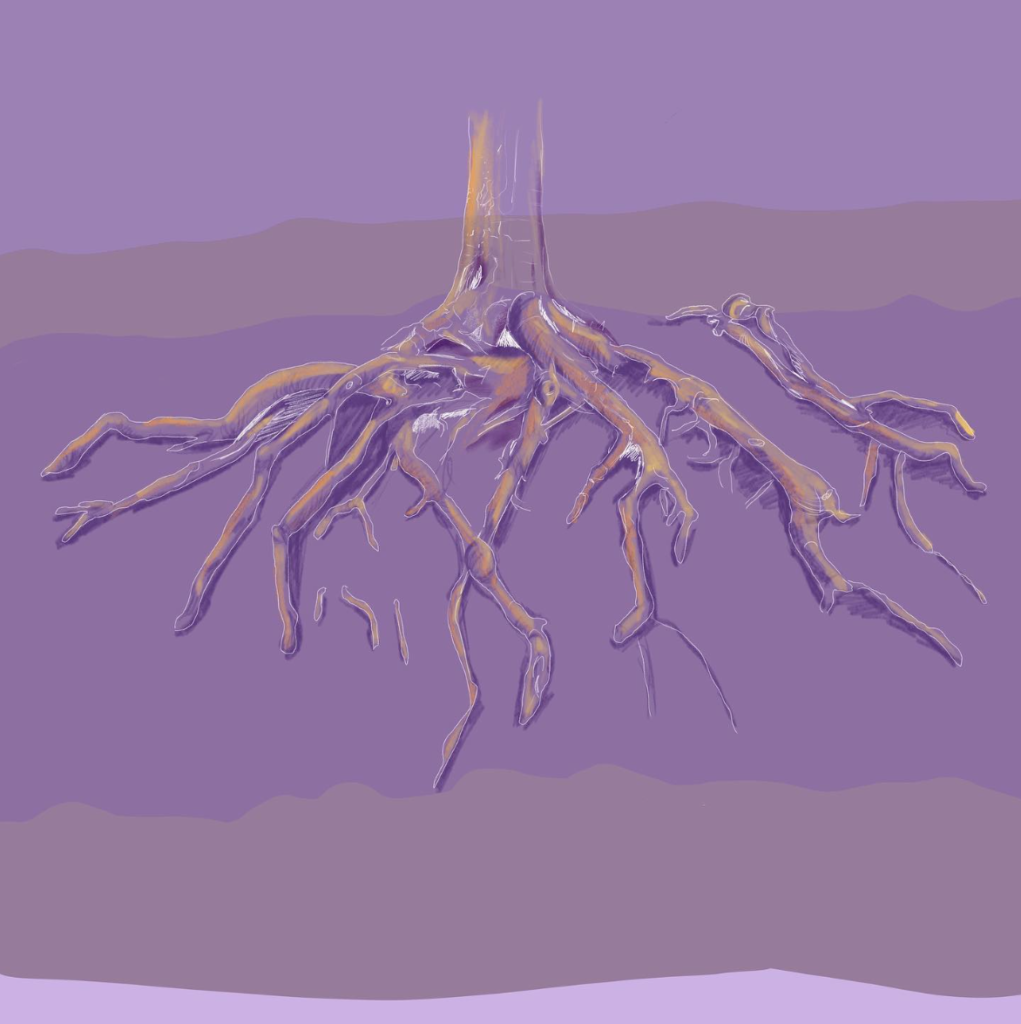 digitale Zeichnung orange auf violett von Baumwurzeln