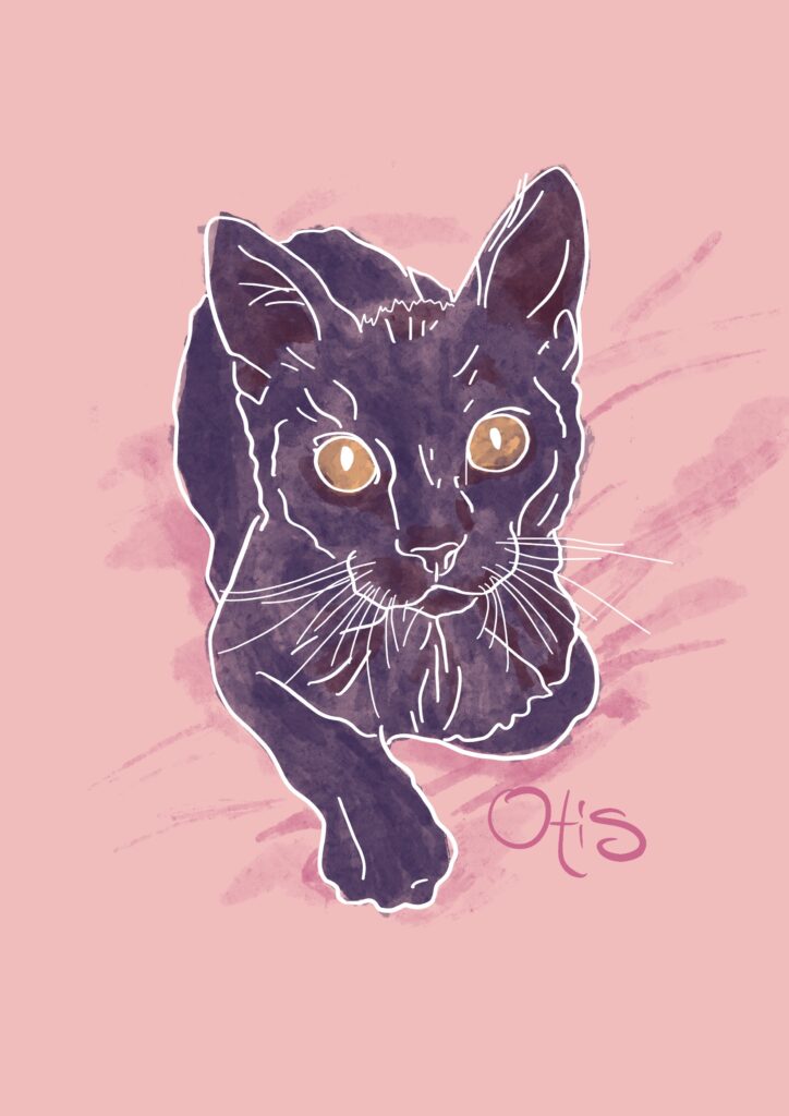 digitale Zeichnung von schwarzer Katze auf rosa Hintergrund