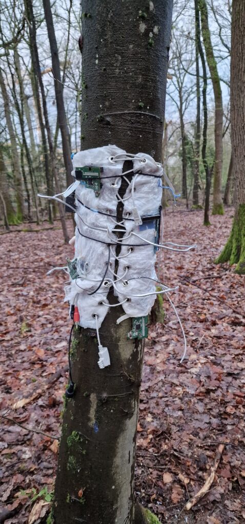 MNK 6 Mensch Natur Kultur Projekt: Installation im Wald. Elektronik, Draht und Folie um einen Baum gewickelt von der Künstlerin Melissa Klingelhöfer